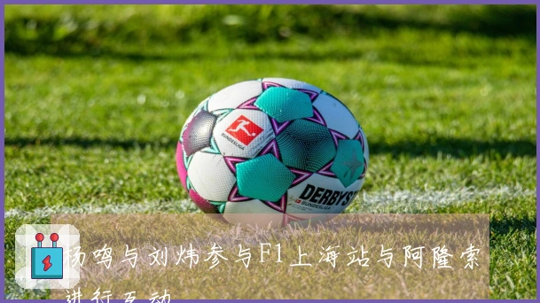杨鸣与刘炜参与F1上海站与阿隆索进行互动
