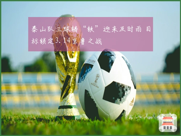 泰山队三球铸“铁”迎来及时雨 目标锁定3.14京鲁之战